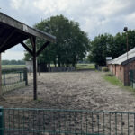 Ruimte voor paarden