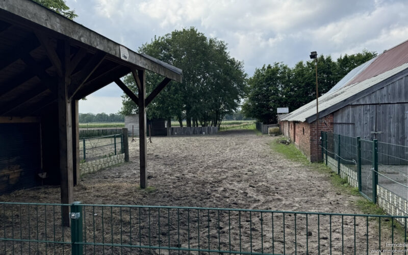 Ruimte voor paarden
