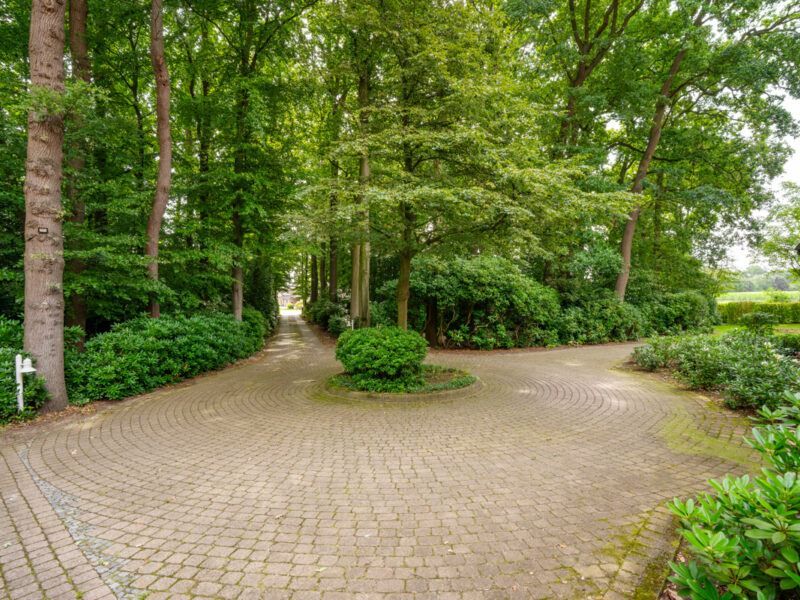 Allee mit PKW-Rondell — Exklusiver Landsitz vor den Toren Lingens – mit Gästehaus, und vielfältigen Nutzungsmöglichkeiten, Lingen / Clusorth